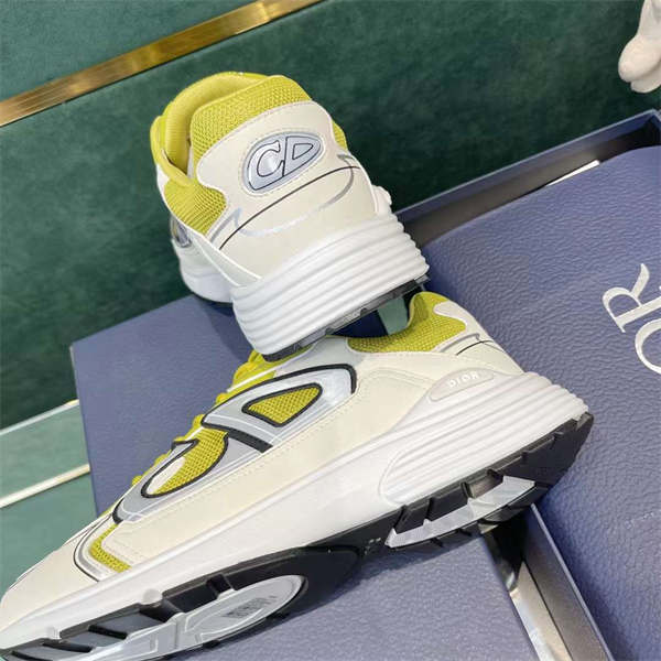 DIOR B30