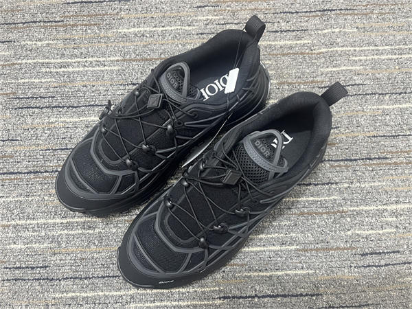 Dior Sneaker