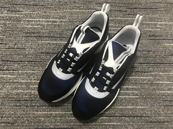 Dior B22