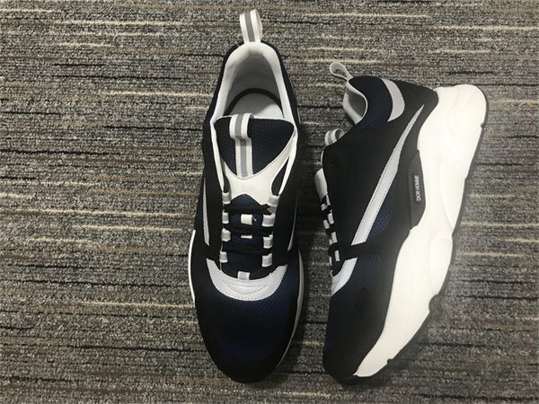 Dior B22
