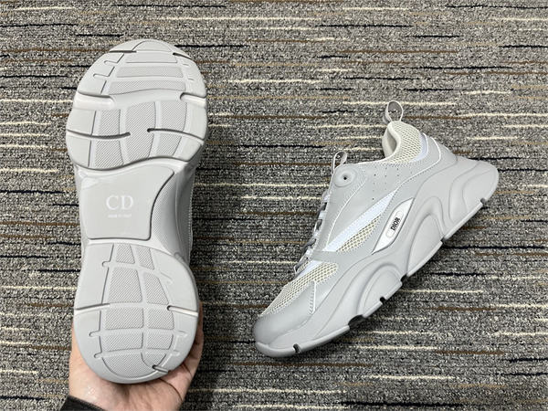 Dior B22