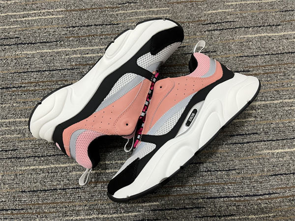 Dior B22