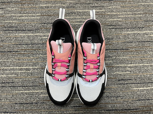 Dior B22