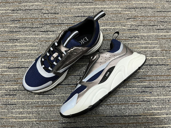 Dior B22