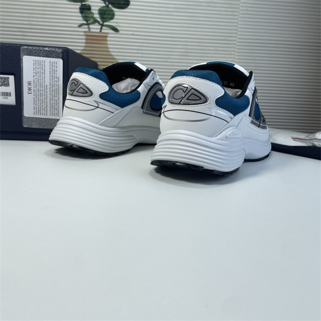 DIOR B30