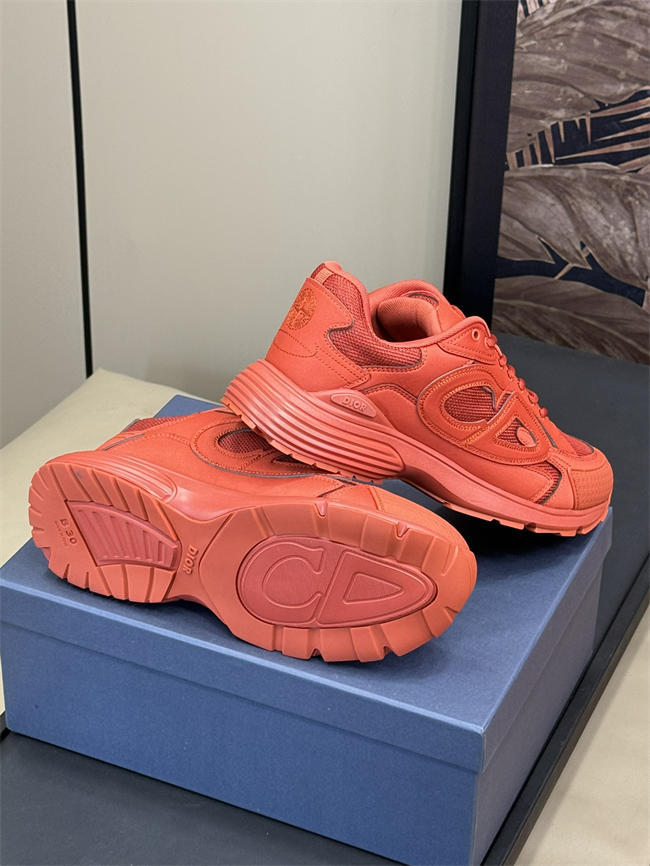 DIOR B30
