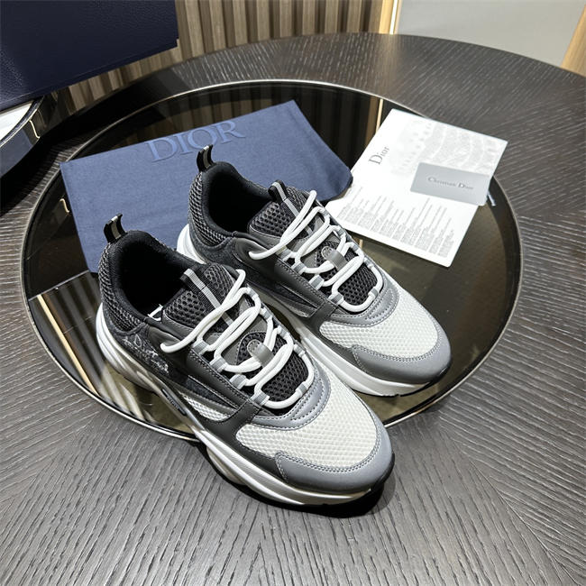 Dior B22