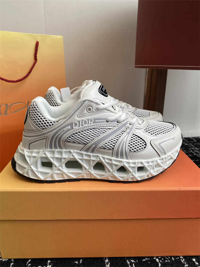 Dior B35