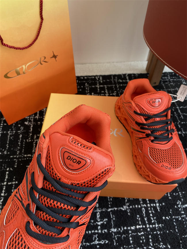 Dior B35