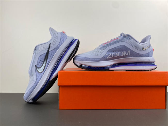 Nike Pegasus Premium 