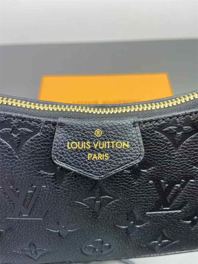 LV BAG