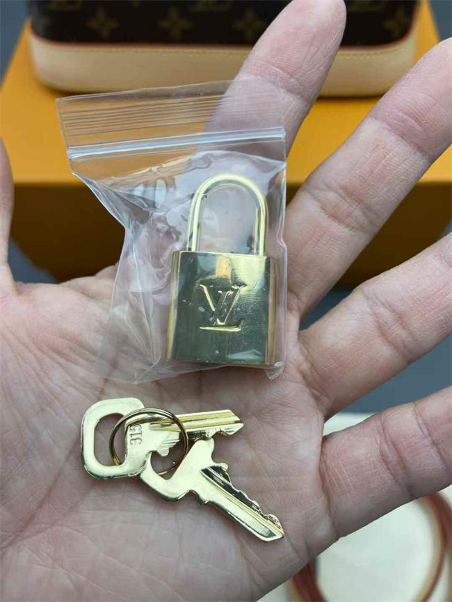 LV BAG