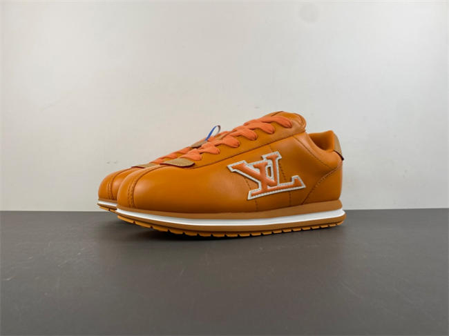 Louis Vuitton LV