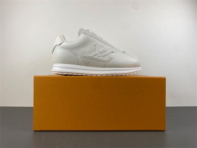 Louis Vuitton LV