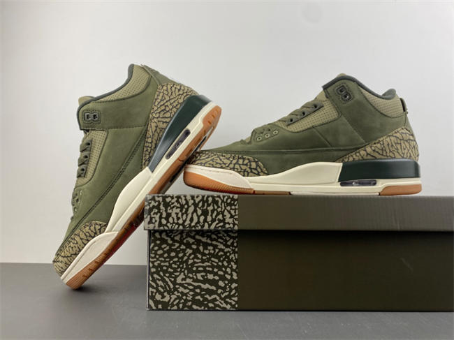 Air Jordan 3 “Family Affair”